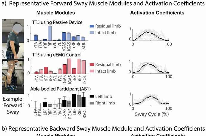 使用肌电图控制的假体踝关节的姿势控制策略的数据表示