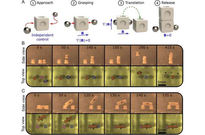 实验性协作抓取和组装结果。磁性试剂是1毫米不锈钢球体，被动物体是2毫米3D打印立方体。A）程序包括四个步骤，接近，掌握，翻译和释放。红色实心箭头表示磁剂的运动，绿色虚线箭头表示融合的运动。B）三个立方体的抓取和堆叠实验的快照。C）在两个立方体顶部抓取和堆叠光束的快照实验。被动对象（立方体和光束）已在顶视图中突出显示，以提高清晰度